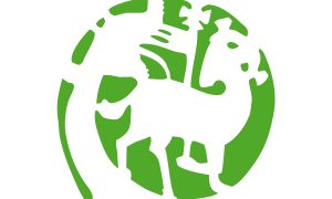 Disposizione per la Parrocchia di S. Agostino in Amatrice