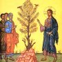 XVI Domenica del Tempo Ordinario – Anno A