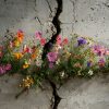 Noi e la terra: convegno a dieci anni dal terremoto del centro Italia