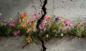Noi e la terra: convegno a dieci anni dal terremoto del centro Italia
